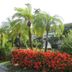Outdoors view