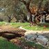 Outdoors view
