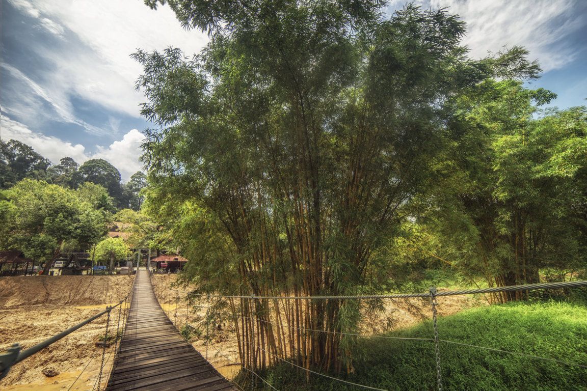 Outdoors view