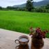 Outdoors view